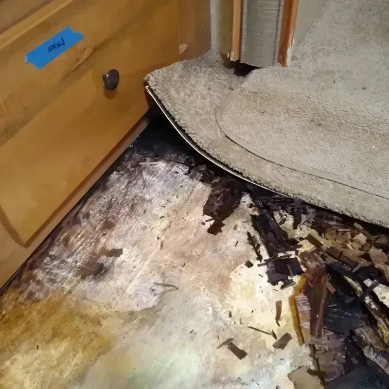 Best Wood Floor Water Damage Service in Cross Plains, WI